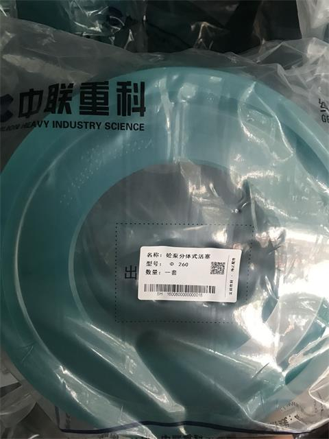 Zoomlion PU DN260 Piston 