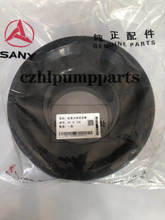 Sany 230 Fission Piston