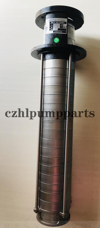 Putzmeister Water Pump 